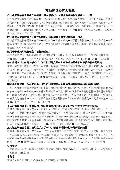 传导路的汇总、