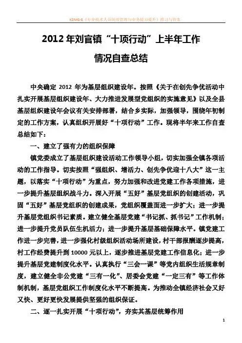 “十项行动”工作自查总结