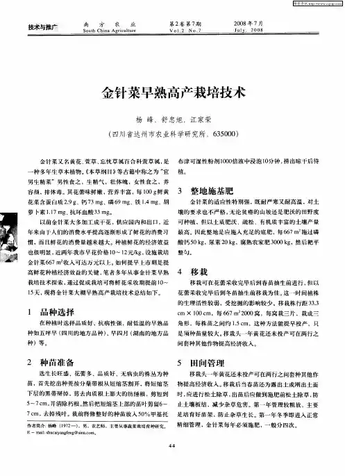 金针菜早熟高产栽培技术