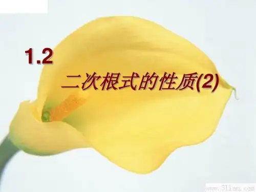 2015年春新浙教版八年级数学下册1.2《二次根式的性质(2)》课件