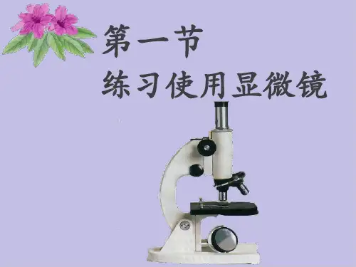 人教版生物七年级上册第二单元第一章第一节练习使用显微镜2