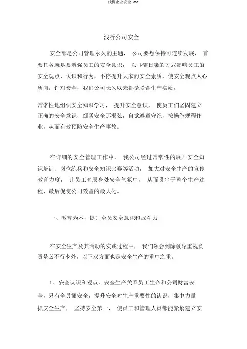 浅析企业安全.doc