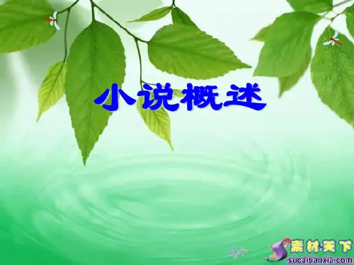 小说概述