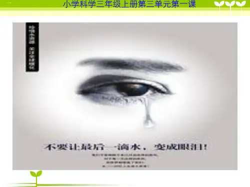 【科学课件】生命离不开水PPT1