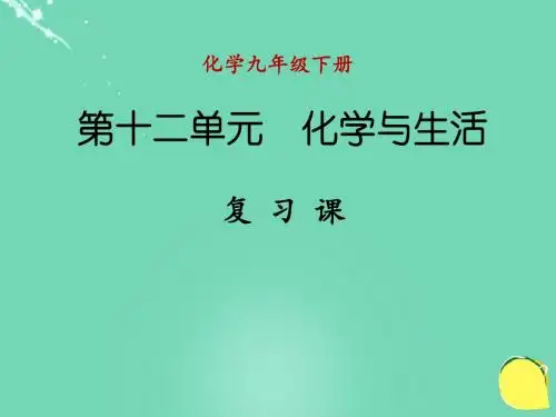 九年级化学下册 第十二单元 化学与生活复习课件 (新版)新人.