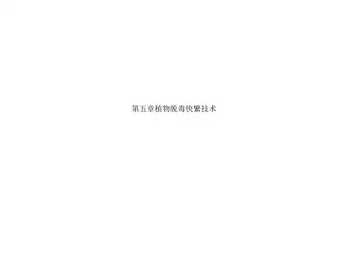 第五章植物脱毒快繁技术