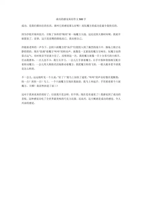 成功的感觉真好作文500字完美版