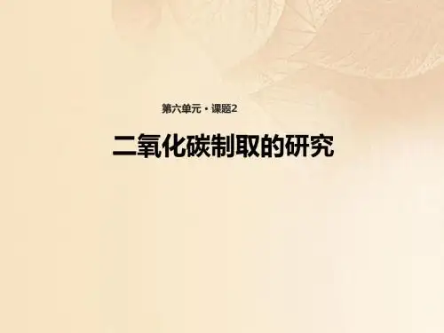 九年级化学上册6.2《二氧化碳制取的研究》课件人教版