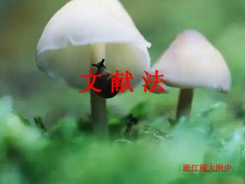 3文献法
