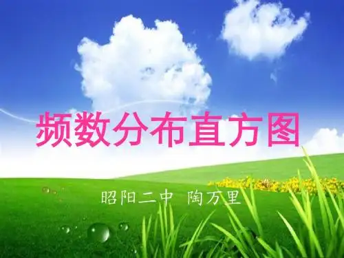 频数分布直方图课件