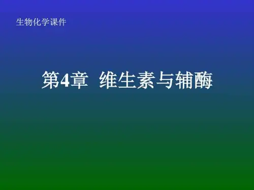 《维生素与辅酶》PPT课件