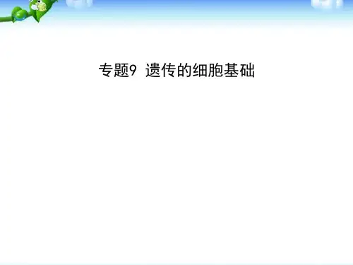 高考生物一轮复习课件:专题9_遗传的细胞基础