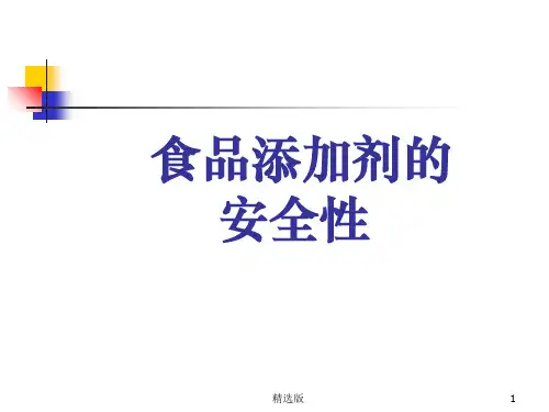 食品添加剂安全性PPT课件