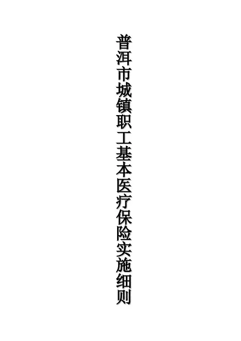 普洱市城镇职工基本医疗保险实施细则