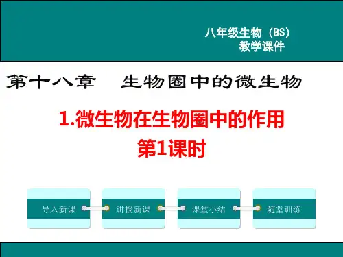 北师大版八年级生物上册第18章  生物圈中的微生物 课件PPT