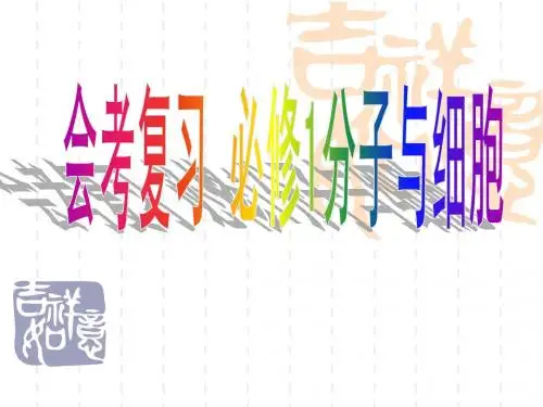 会考复习 必修1 分子与细胞
