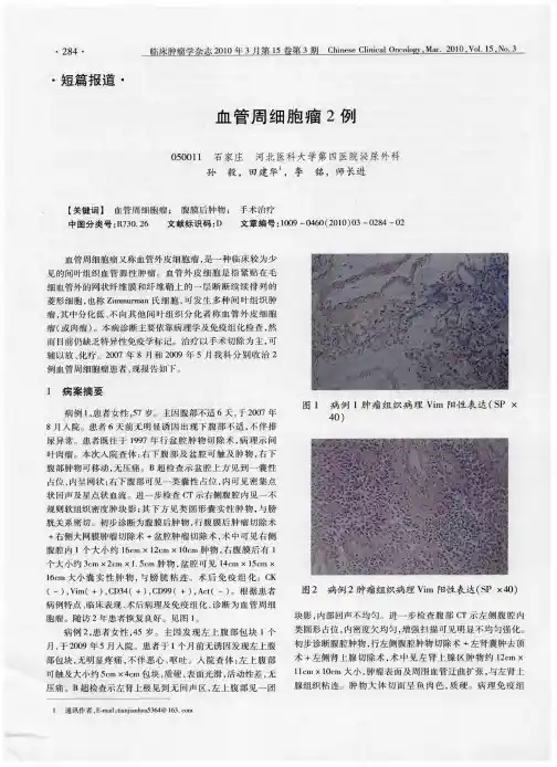 血管周细胞瘤2例