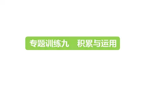 六年级下册语文优质课件-2019小升初-专题训练九 积累与运用_全国通用