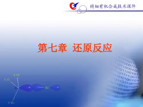 催化氢化反应装置