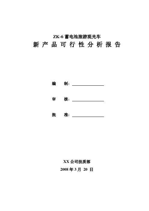 5新产品可行性分析报告