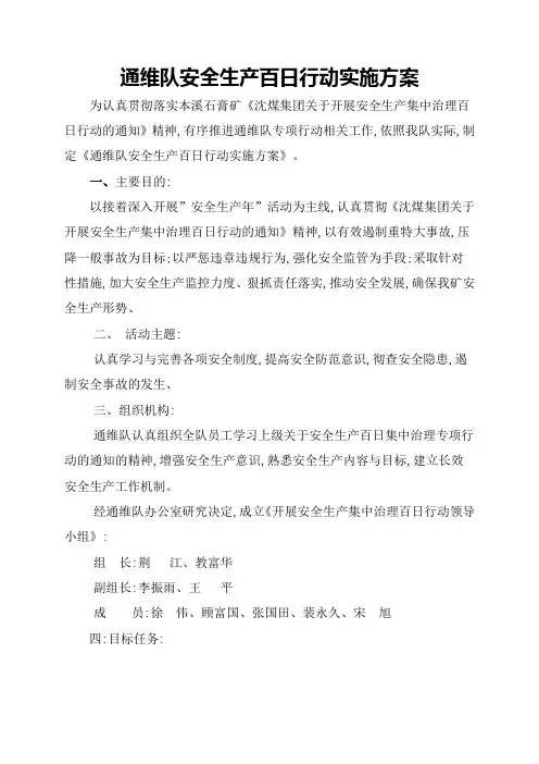 安全生产百日行动实施方案 2