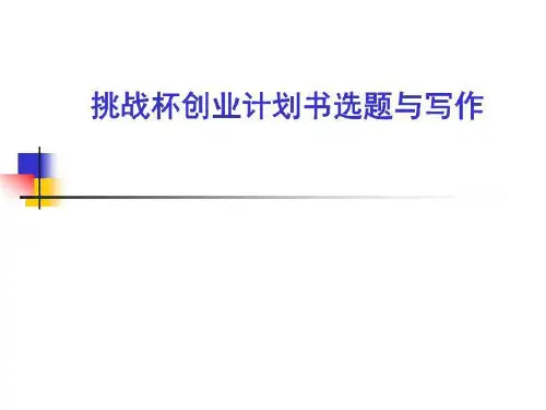 挑战杯创业计划书选题与写作