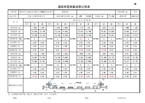 道路高程测量成果记录表