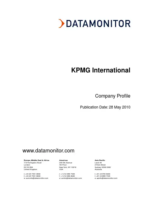 KPMG 毕马威 SWOT 2010