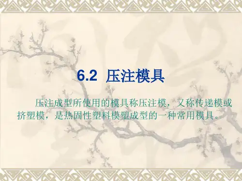 塑料成型工艺与模具设计第6章压缩和压注模具6.2