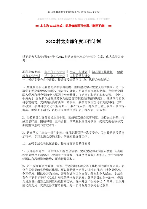 2018年201X村党支部年度工作计划-精选word文档 (2页)