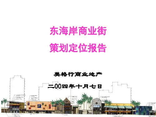 某地产深圳东海岸商业街策划定位报告62页