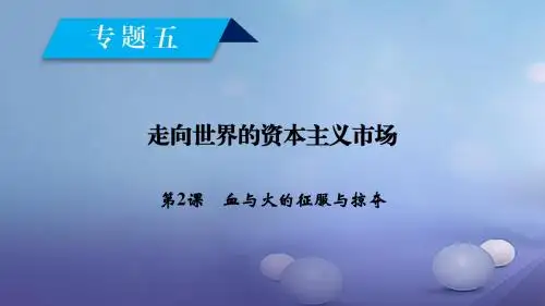 2017_2018学年高中历史专题5走向世界的资本主义市场第2课血与火的征服与掠夺课件人民版必修2201709200366
