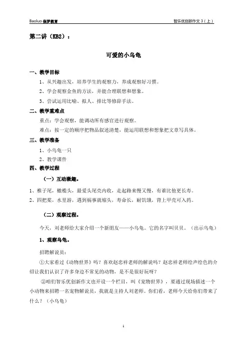 可爱的小乌龟