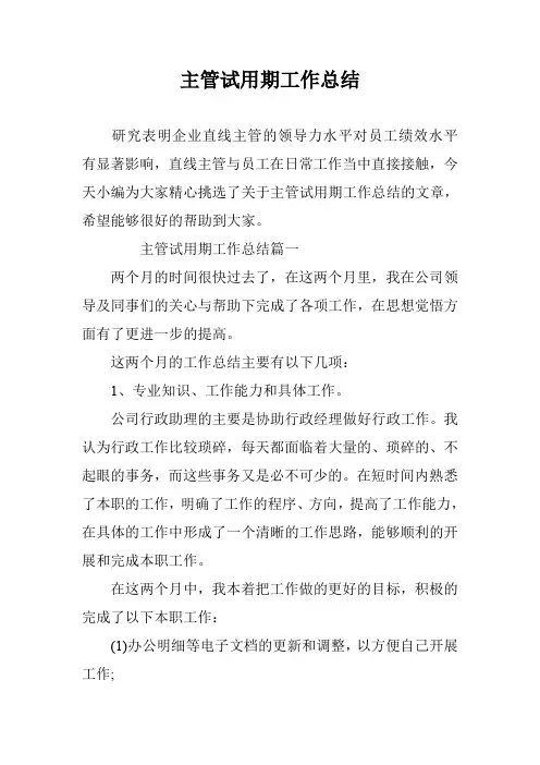 主管试用期工作总结