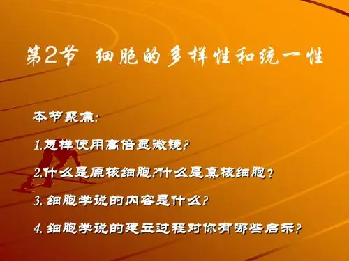 1-2 细胞的多样性和统一性
