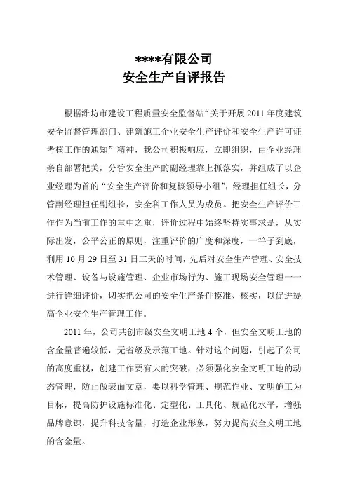 安全生产自评报告