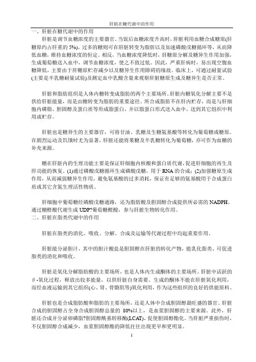 肝脏在物质代谢中的作用