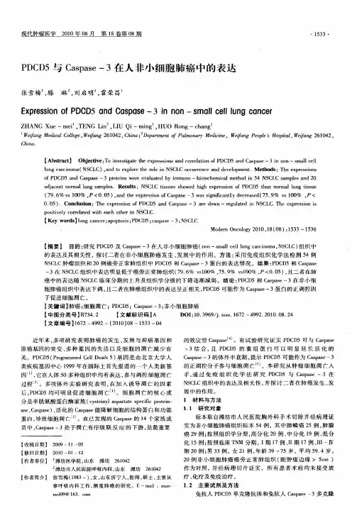 PDCD5与Caspase-3在人非小细胞肺癌中的表达