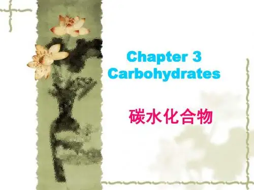chapter 3 碳水化合物(总)