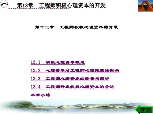 工程师职业素养-第13章