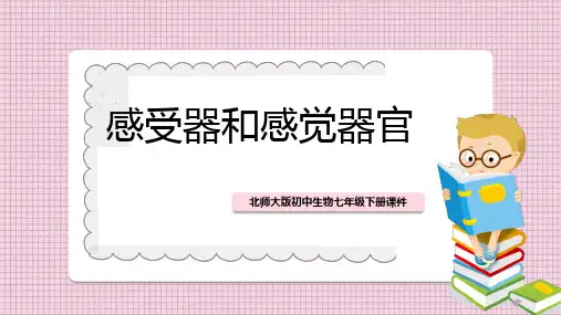 初中生物北师大版七年级下册《第12章第2节第1课时感受器和感觉器官》课件PPT模板