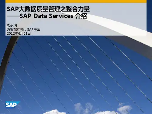 SAP大数据质量管理乊整合力量