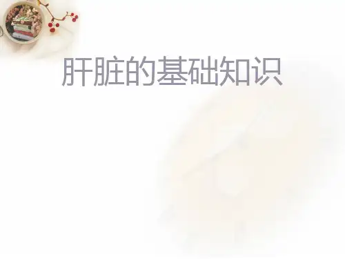 肝脏的基础知识  ppt课件