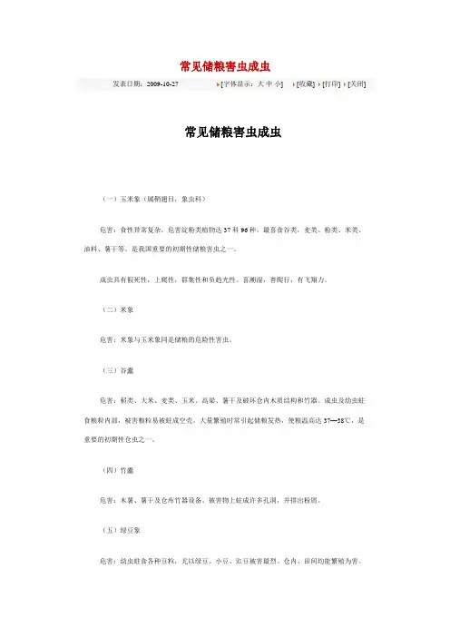 常见储粮害虫成虫