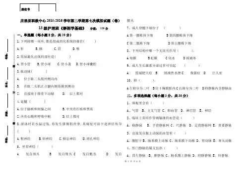 13级护理班《解剖学基础》第七次模拟考试试题