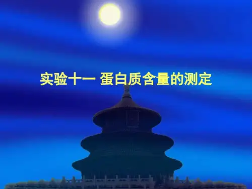 蛋白质含量的测定