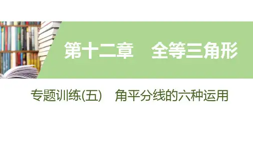 专题训练(五) 角平分线的六种运用