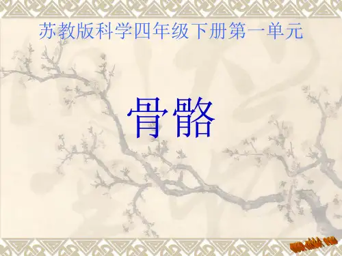 1.骨骼