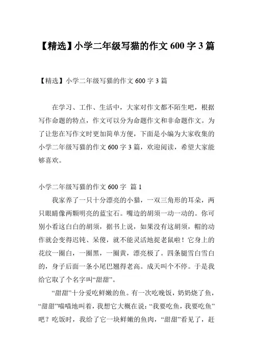 【精选】小学二年级写猫的作文600字3篇