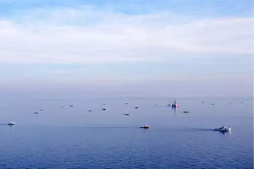 蔚蓝的海详图片
